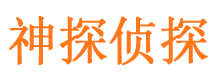 铜陵调查公司